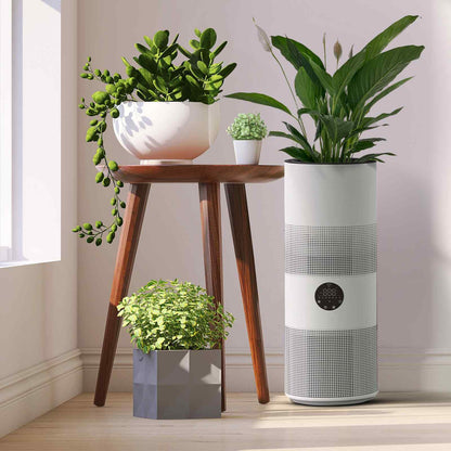 MyGenie 2-in-1 Tower Air Purifier with Planter, Wi-Fi HEPA Filtration